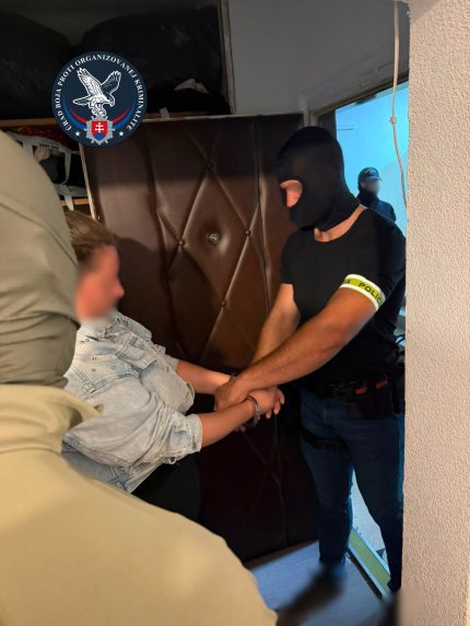Na sn&iacute;mke z&aacute;sah pol&iacute;cie v r&aacute;mci akcie Sieť.