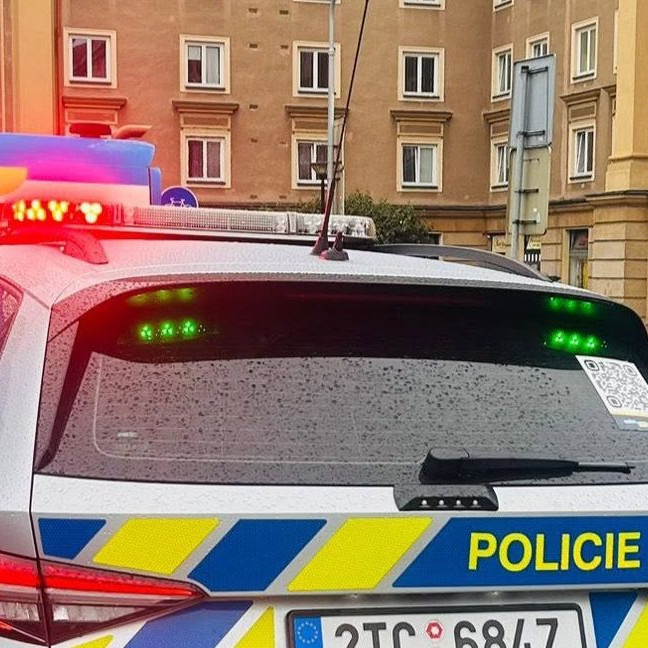 Na ilustračnej snímke auto českých policajtov.