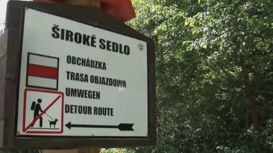Na snímke označenie chodníka.