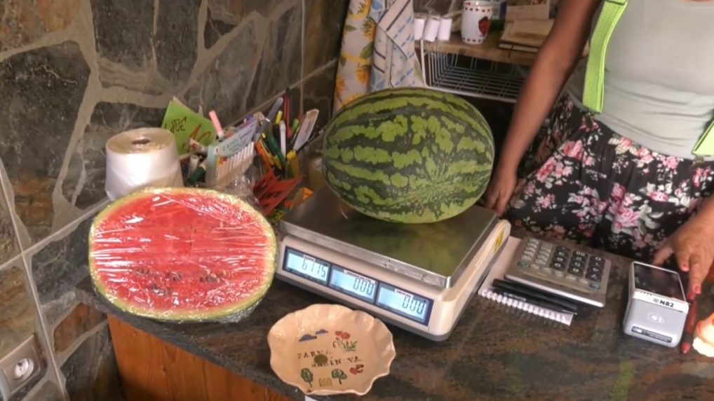 Na Slovensku dozrievajú prvé melóny. Priemerný Slovák zje ročne asi deväť kilogramov