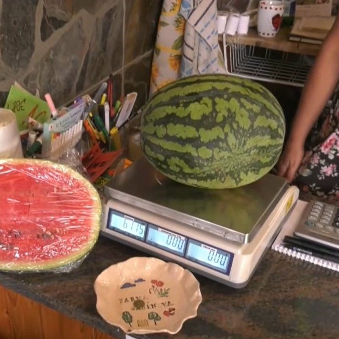 Na Slovensku dozrievajú prvé melóny. Priemerný Slovák zje ročne asi deväť kilogramov