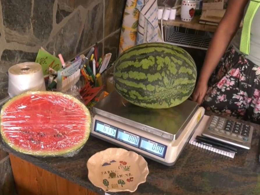 Na Slovensku dozrievajú prvé melóny. Priemerný Slovák zje ročne asi deväť kilogramov