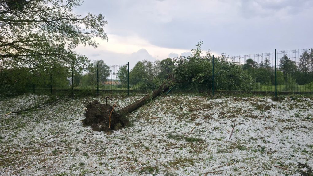 Vyvalený strom po búrke v Prešove.