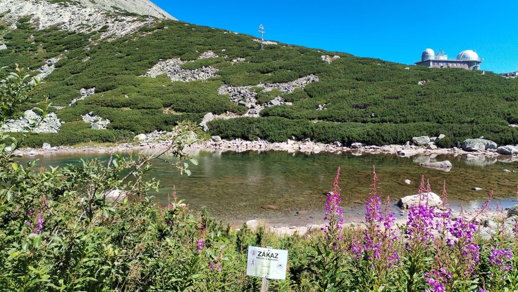 Skalnaté pleso