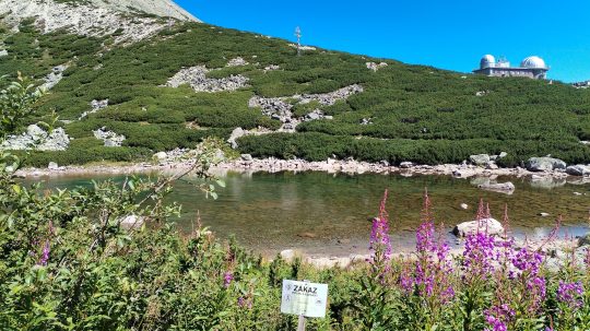 Skalnaté pleso