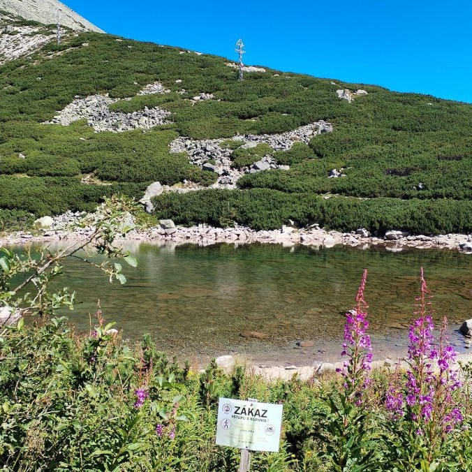 Skalnaté pleso