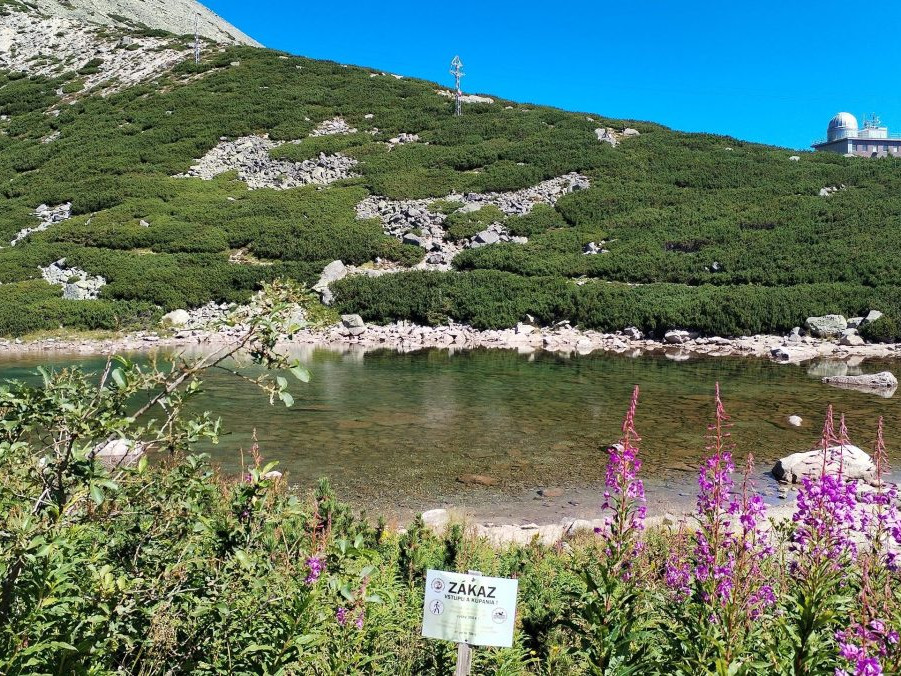 Skalnaté pleso