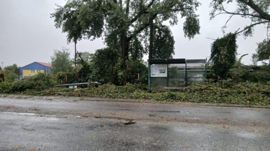 Popadané stromy na zastávke MHD vo Vrakuni.