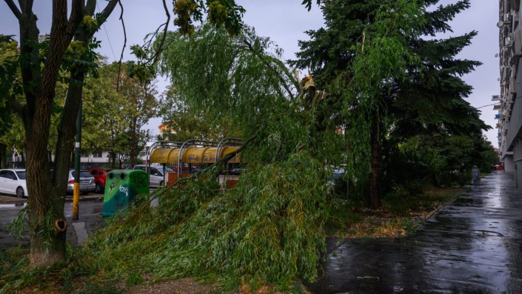 n&aacute;sledky silnej b&uacute;rky a spadnut&yacute; strom v mestskej časti Podunajsk&eacute; Biskupice.