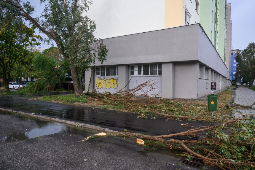 N&aacute;sledky silnej b&uacute;rky a spadnut&yacute; strom v mestskej časti Podunajsk&eacute; Biskupice.