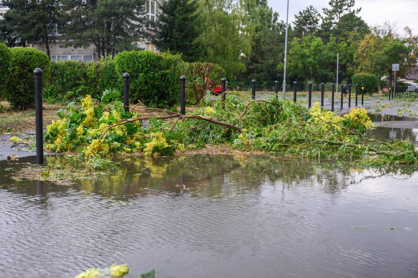 n&aacute;sledky silnej b&uacute;rky a spadnut&yacute; strom v mestskej časti Podunajsk&eacute; Biskupice