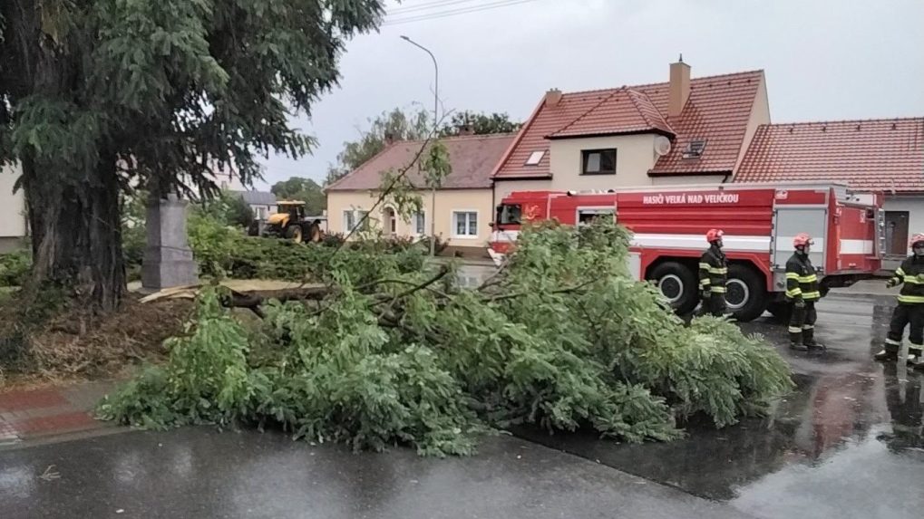 
 spadnutý strom v ČR		