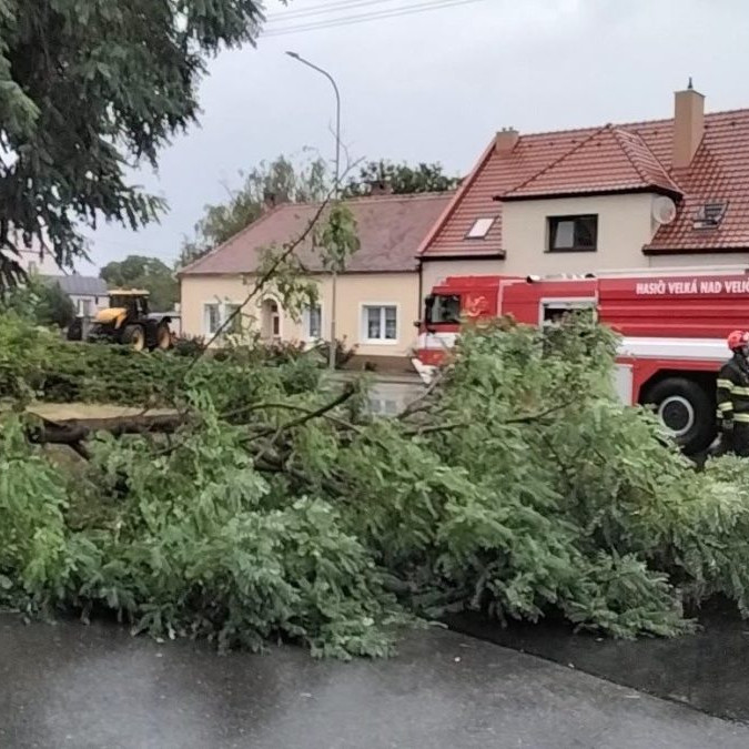 spadnutý strom v ČR