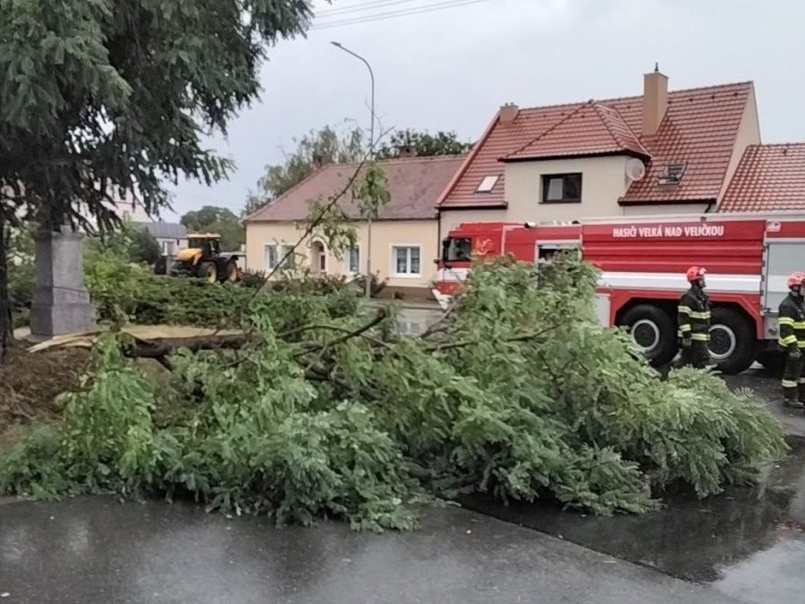 spadnutý strom v ČR