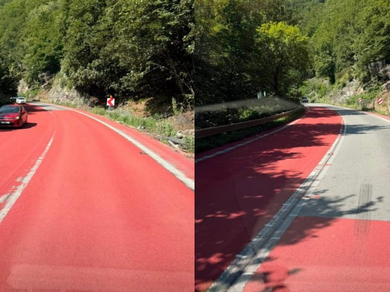 Nezvyčajný pohľad čakal vodičov na ceste popod Strečno.