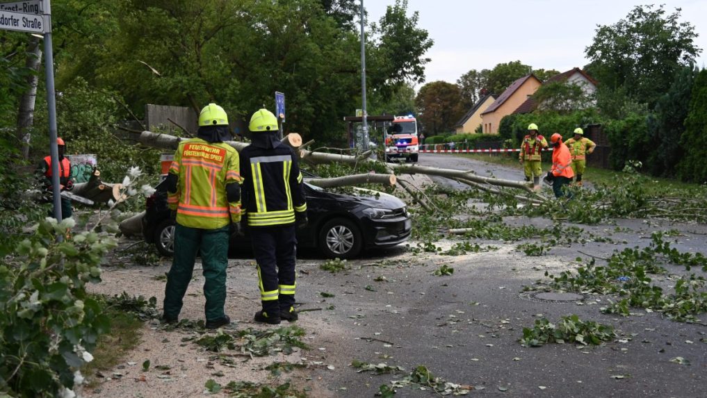 Na snímke vyvrátený strom zatarasil cestu po tornáde, ktoré zasiahlo mesto Fürstenwalde.