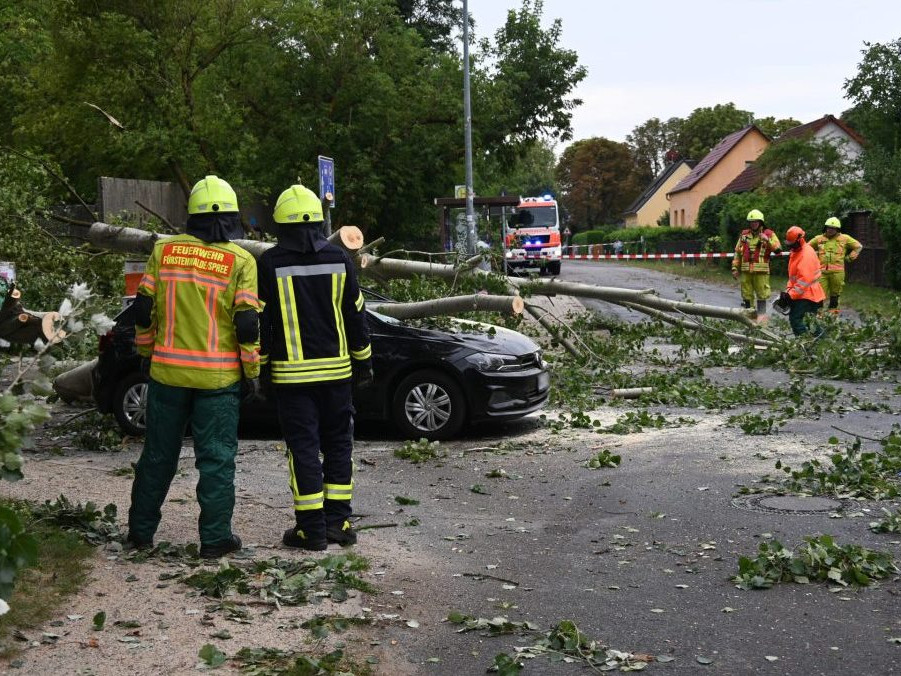 Na snímke vyvrátený strom zatarasil cestu po tornáde, ktoré zasiahlo mesto Fürstenwalde.