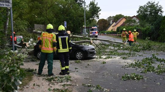 Na snímke vyvrátený strom zatarasil cestu po tornáde, ktoré zasiahlo mesto Fürstenwalde.