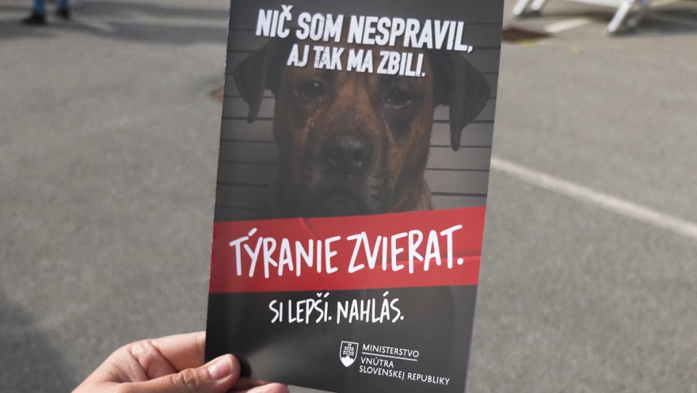 
 Deti sa počas preventívnej akcie učia rozoznať týranie zvierat.		