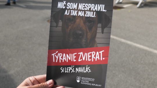 Deti sa počas preventívnej akcie učia rozoznať týranie zvierat.