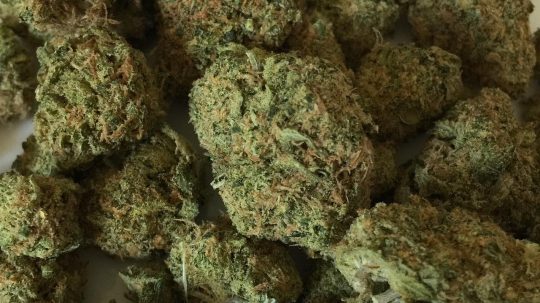 sušená marihuana