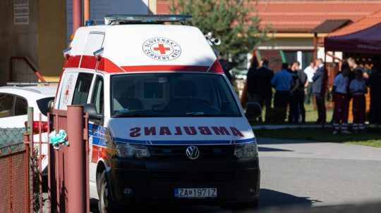 sanitka