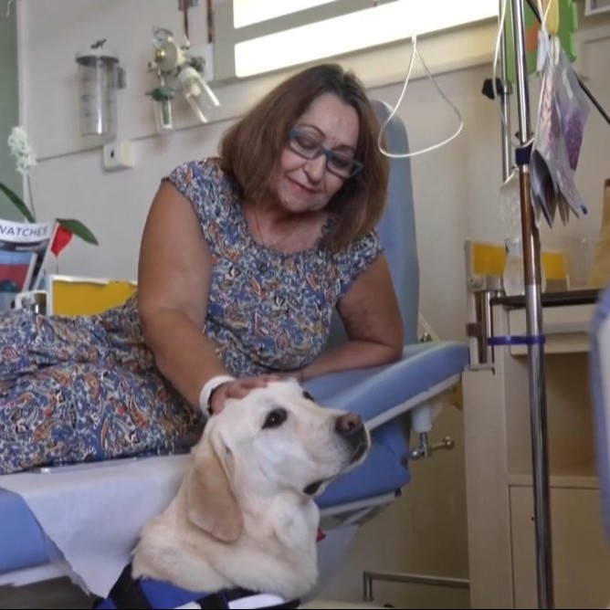 Na snímke onkologická pacientka hladí labradora Dylana.