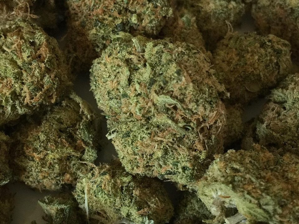 sušená marihuana