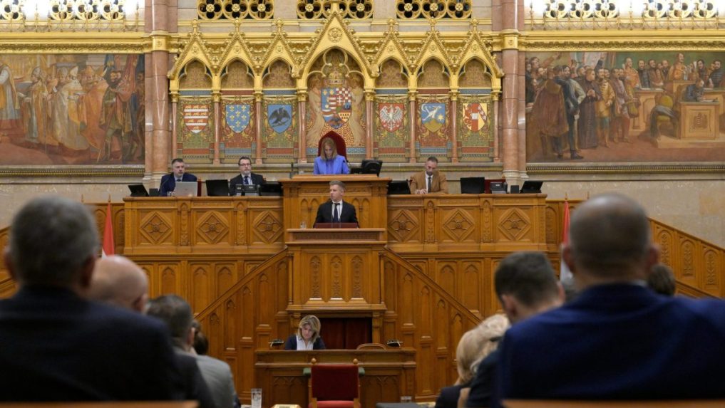 Na snímke Péter Magyar počas zasadnutia v Budapešti.