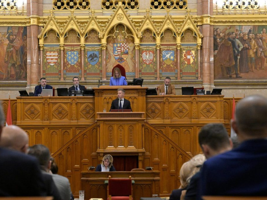 Na snímke Péter Magyar počas zasadnutia v Budapešti.