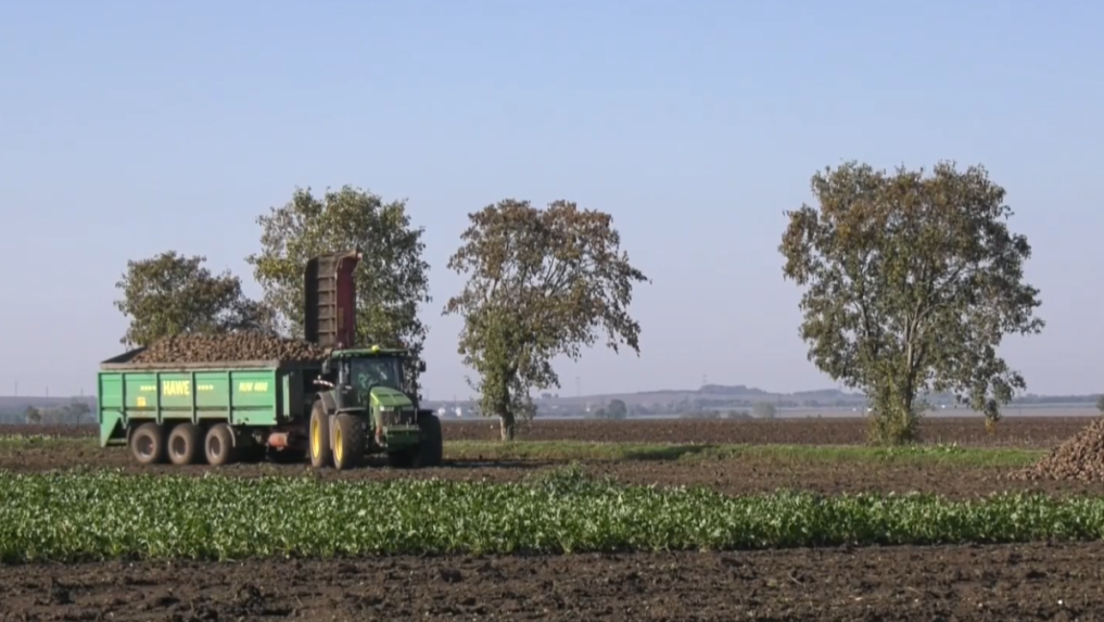 traktor na poli